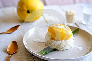 A traditional Thai dessert Mango and Sweet coconut sticky rice.