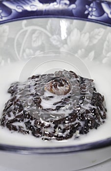 Traditional Thai desserts, black glutinous rice, coconut milk, delicious taste, sweet and creamy in a seramic bowl