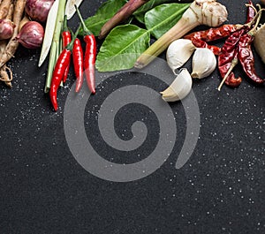 Traditional Thai food cuisine Herb ingredient of Tom Yum spicy soup on black background