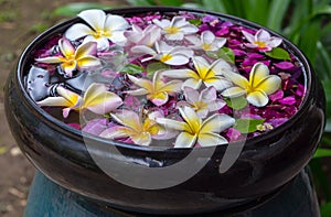 Traditional thailand perfume water mixes with flowers photo