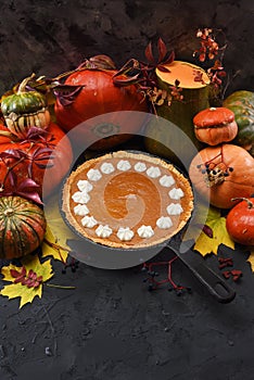 Traditional Thanksgiving pumpkin pie with whipped cream in cast iron pan served with raw pumpkins and squashes on black background