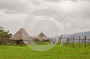 Traditional thatch, clay and wood houses of sheep farmer in highlands of Cameroon, Africa