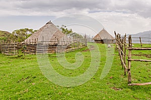 Traditional thatch, clay and wood houses of sheep farmer in highlands of Cameroon, Africa