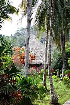 Traditional thatched building with a straw roof, of the indiginous people of Colombia, South America