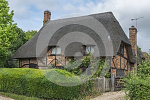 Traditional Thatched cottage