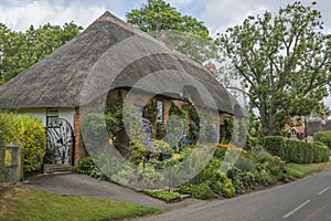 Traditional Thatched cottage