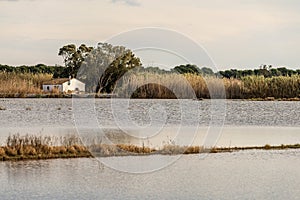 Traditional Thatched Cottage in Albufera, Valencia