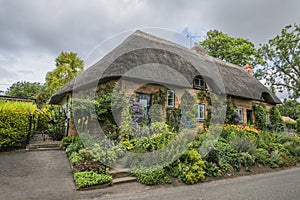 Traditional Thatched cottage