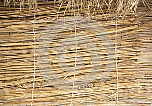 Traditional thatched huts wall in the desert