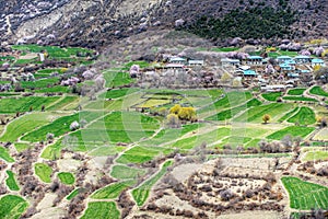 Traditional tibetan folk residential