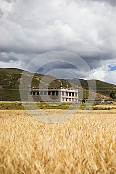 Traditional Tibetan house with fields, mountains and blue sky around around Daocheng