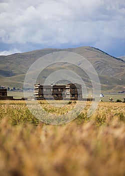 Traditional Tibetan house with fields, mountains and blue sky around around Daocheng