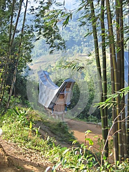 Traditional Toraja house