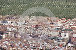 Traditional town in Spain with olive tree fields. Jaen