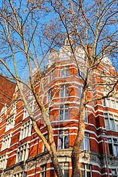 Traditional townhomes in Central London