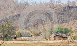 Traditional Tribal Hut House India