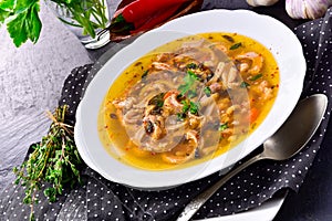 Traditional tripe soup in polish style with beef and vegetables