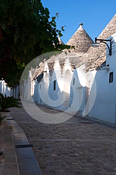 traditional trulli houses in southern Italy, Alberobello city