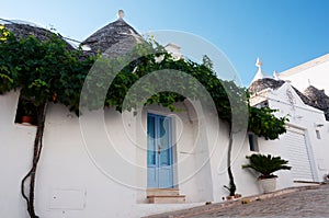 traditional trulli houses in southern Italy, Alberobello city