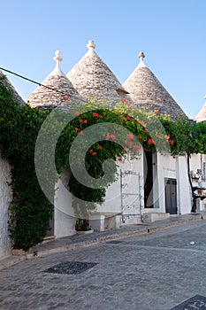 traditional trulli houses in southern Italy, Alberobello city