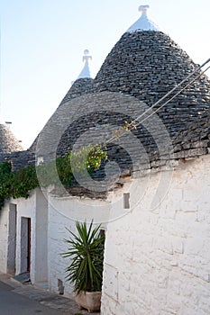 traditional trulli houses in southern Italy, Alberobello city