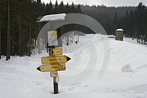 Traditional Turistic Wooden Guidepost covered in Snow, Izera Mountains, Czech Republic, Europe