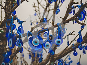 Traditional Turkish amulets - Nazar boncuk or Fatima Eye hang on the branches of a wishes tree