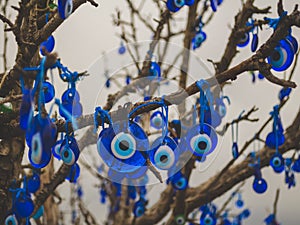 Traditional Turkish amulets - Nazar boncuk or Fatima Eye hang on the branches of a wishes tree photo