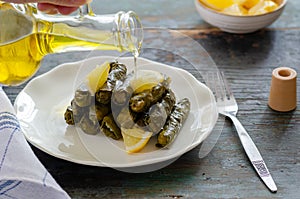 Stuffed grape leaves with rice,olive oil and herbs in white plate