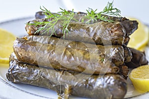 Traditional Turkish foods; stuffed leaves yaprak sarm