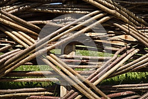 Traditional twig fence