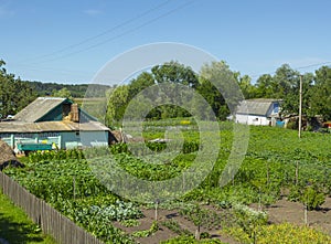 Traditional ukrainian dacha