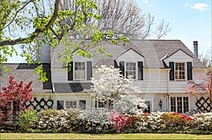 Traditional upscale home with dogwood tree and azelea bushes - b