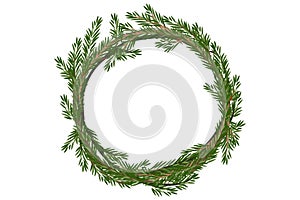 Traditional vector Merry Christmas wreath spruce