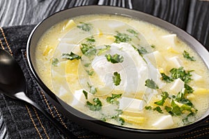 Traditional Venezuelan breakfast of chicken broth, with potatoes, eggs, cheese and cilantro close-up in a bowl. horizontal photo