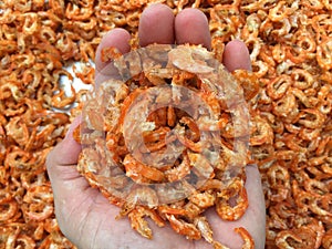 Traditional Vietnamese cuisine: dried shrimp