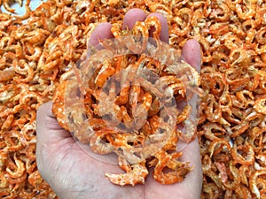 Traditional Vietnamese cuisine: dried shrimp