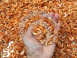 Traditional Vietnamese cuisine: dried shrimp