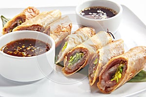 Traditional Vietnamese Deep Fried Spring Rolls Isolated