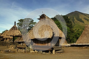 Traditional vilage on Flores photo