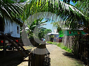 Situation of Village on the coast of the island of Flores photo