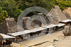 Traditional village Bena on Flores Island Indonesia photo