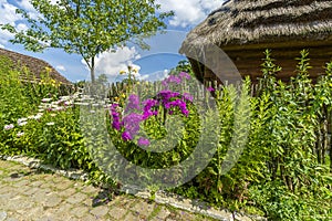 Traditional village house with blue sky, green grass, fence and trees