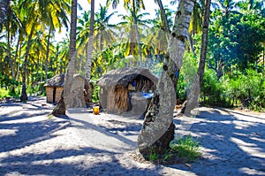 Traditional village life