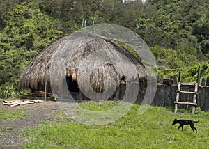 A traditional village in Papua