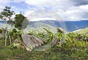 Traditional village in Papua, Indonesia.