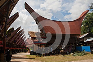 A traditional village in Tana Toraja, Indonesia