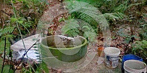 Traditional village well in secondary rainforest