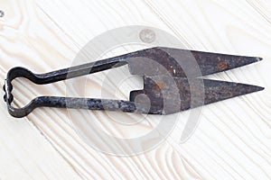 . Traditional vintage scissors with sheep shearing blades. on wooden background