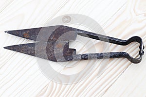 . Traditional vintage scissors with sheep shearing blades. on wooden background